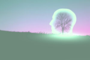 artistic image of a tree growing into an enlightened head