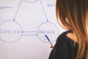woman looking at graph of suppliers and partners
