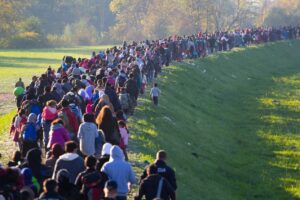 hundreds of reguees walking on a path