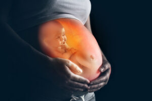 unborn baby in mothers womb
