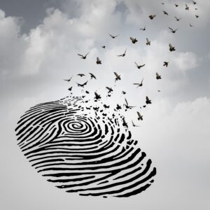 birds flying off a fingerprint